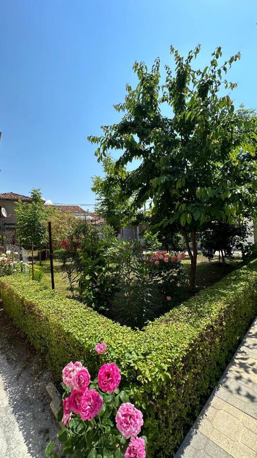 Apartmán Js House Shkoder 2 Exteriér fotografie